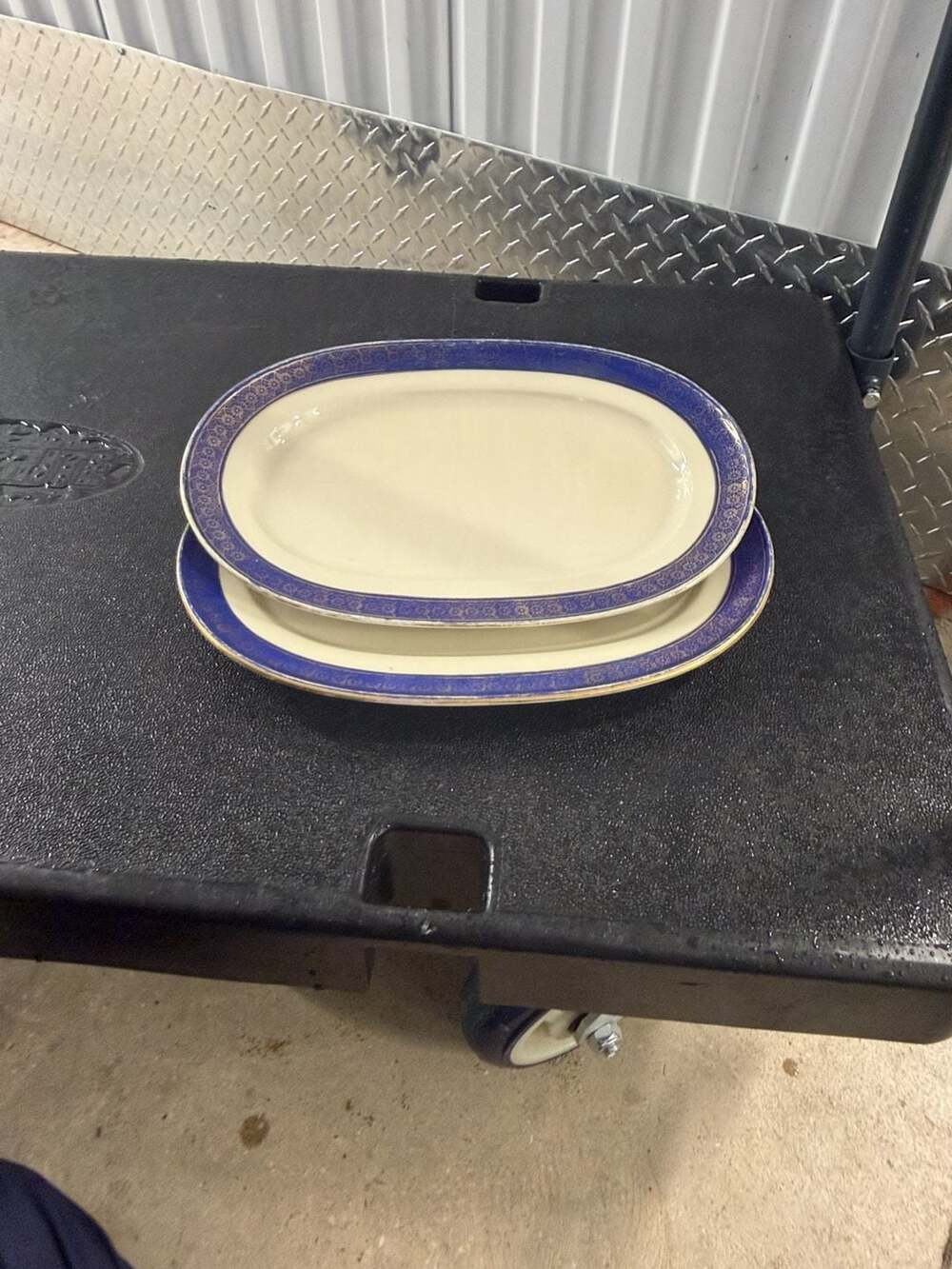 Hutschenreuther Hohenberg Evelyn Oval Serving Platter Set of 2